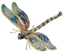 Animals - Insects - Dragonflies