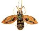 Animals - Insects - Various