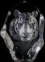 Animals - Tigers