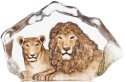 Animals - Lions